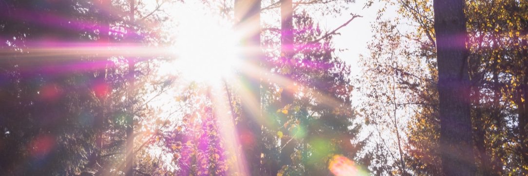 MsCyberDiva's profile banner image