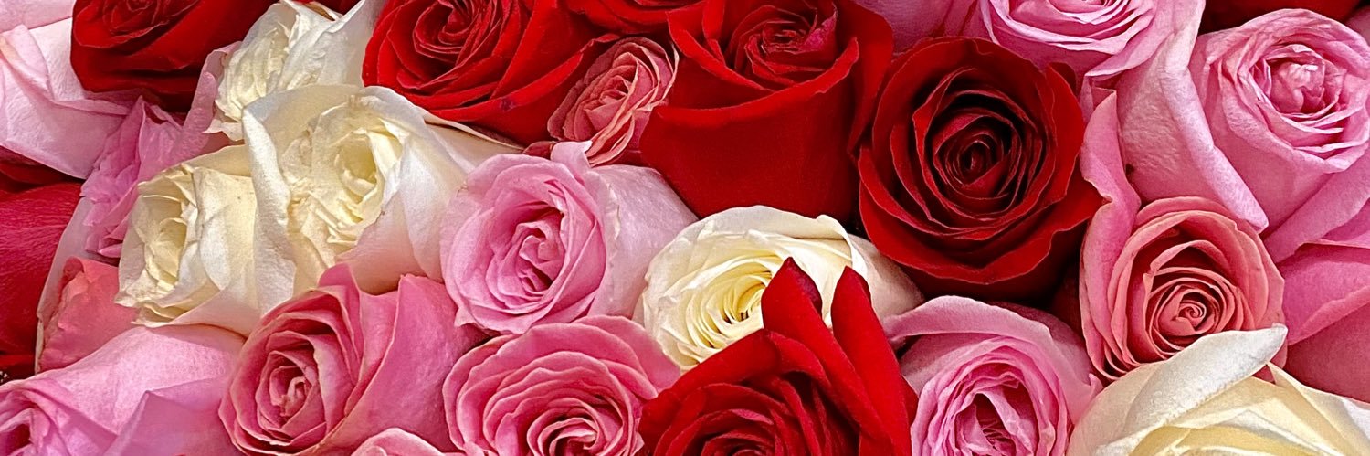 Leslienem's profile banner image
