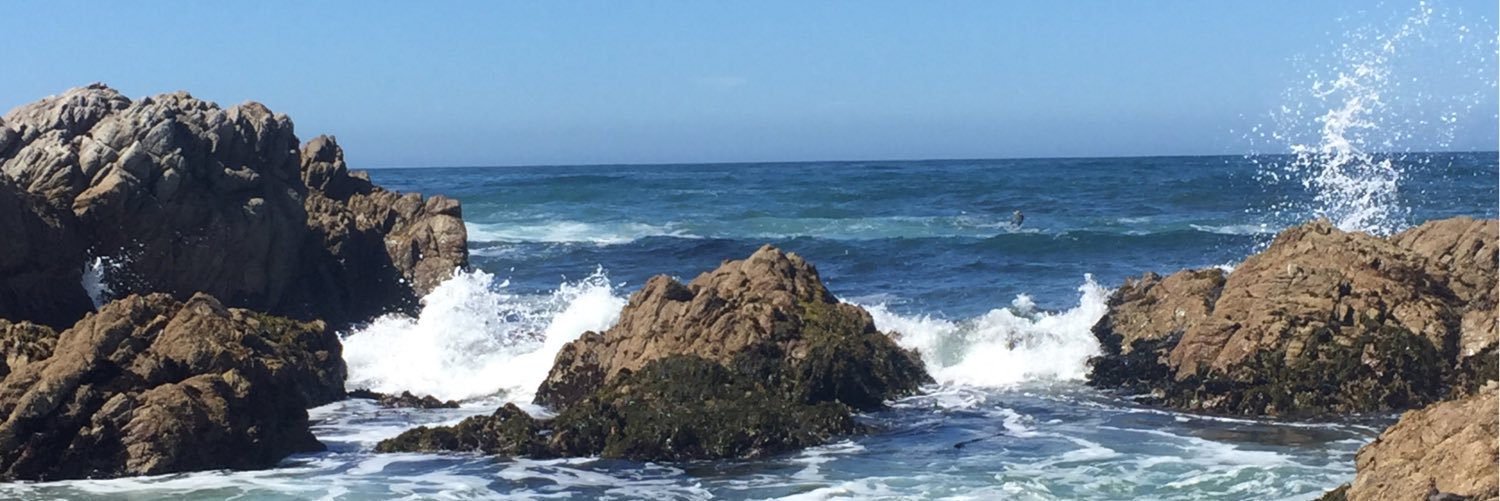 amperezrn's profile banner image