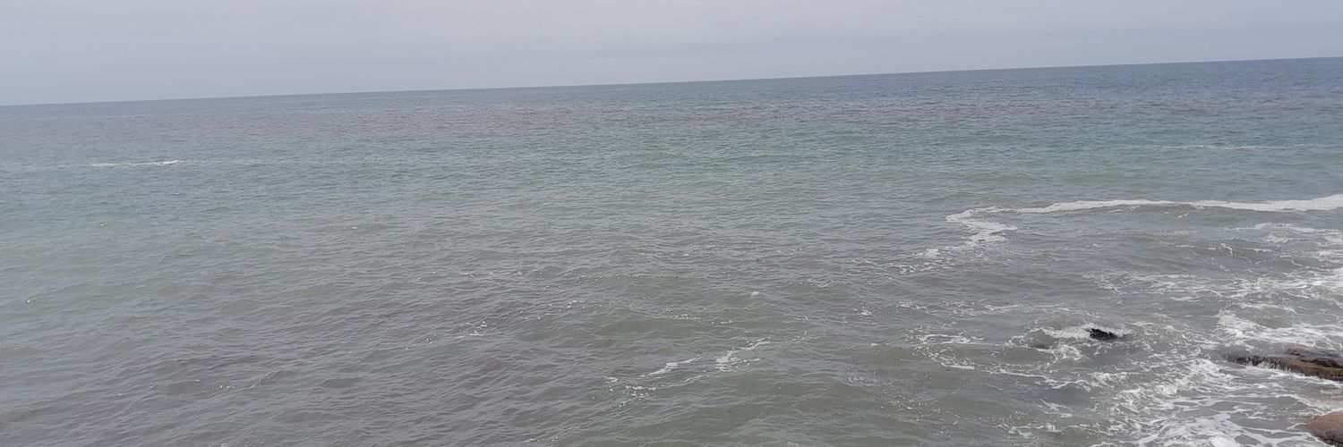 vvazquezlaba's profile banner image