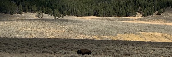 MatteoSanDiego Profile Banner