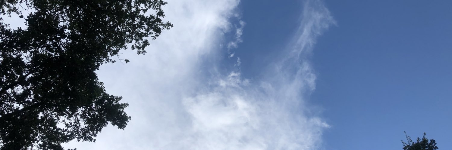 thestevearias's profile banner image