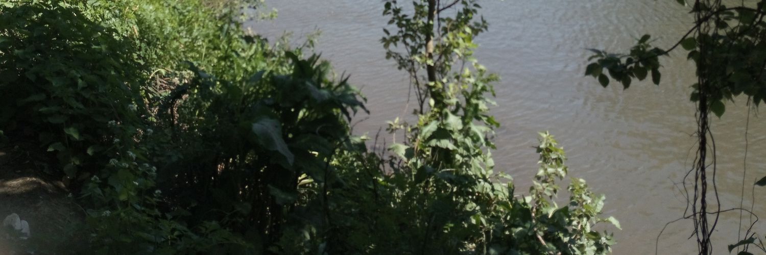 yinka20's profile banner image