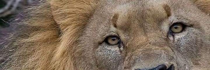 jedugonzalez's profile banner image
