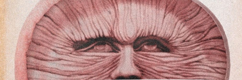 Tomxplant's profile banner image