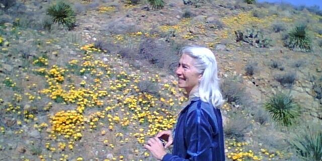 judy_ackerman's profile banner image