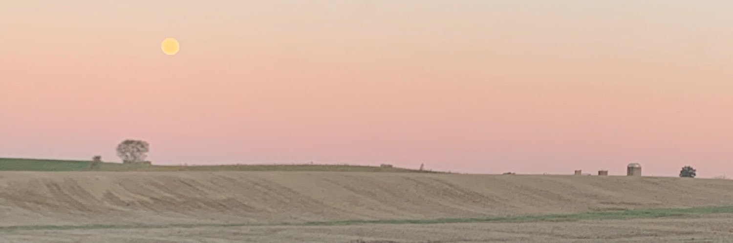 TracyEd82509603's profile banner image