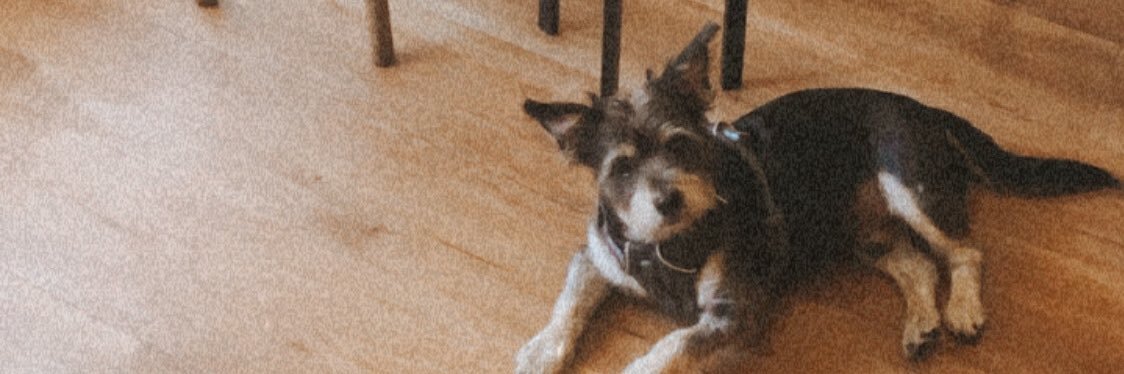 shaapuzzles's profile banner image