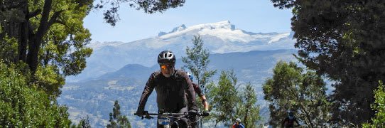 Mauricio Olivera banner