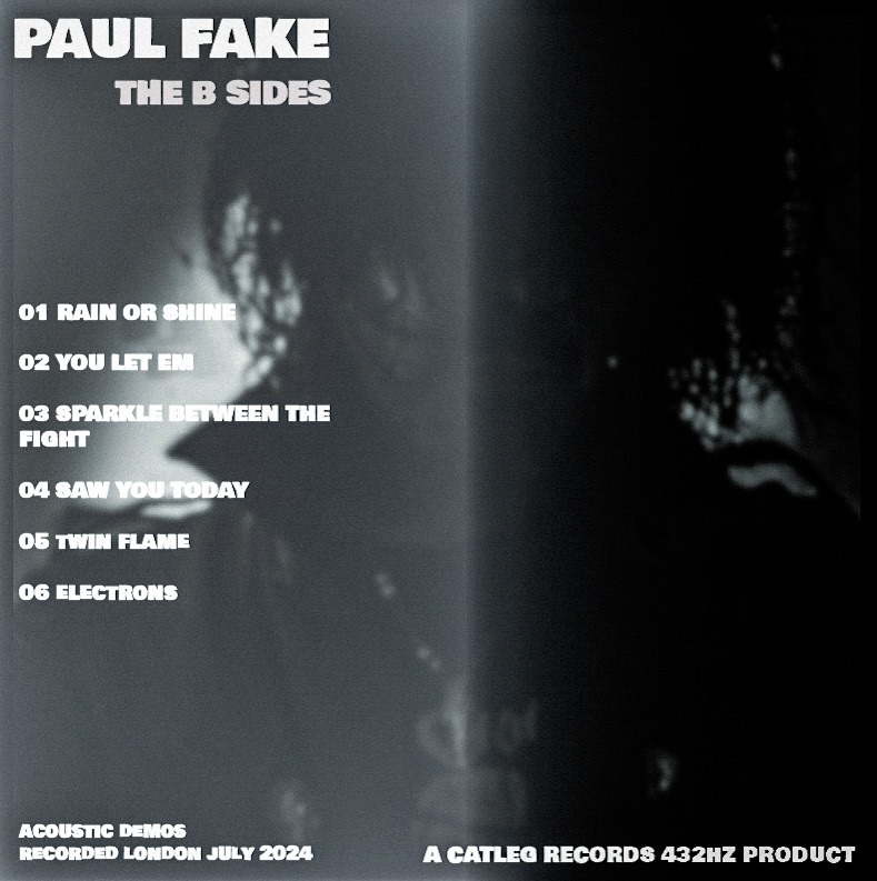 PaulFake's profile banner image