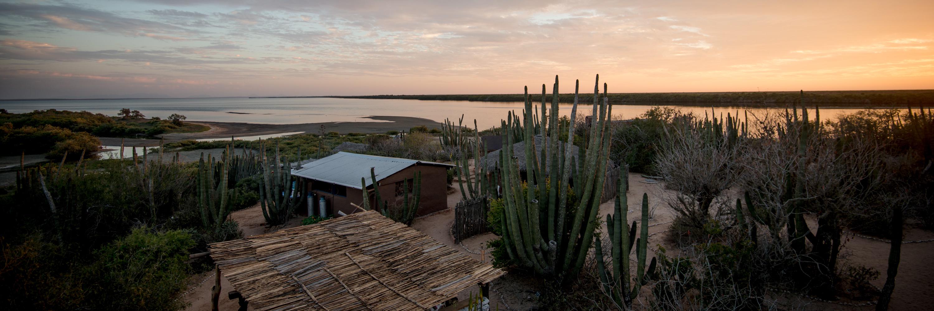 Navopatia Field Stn. banner