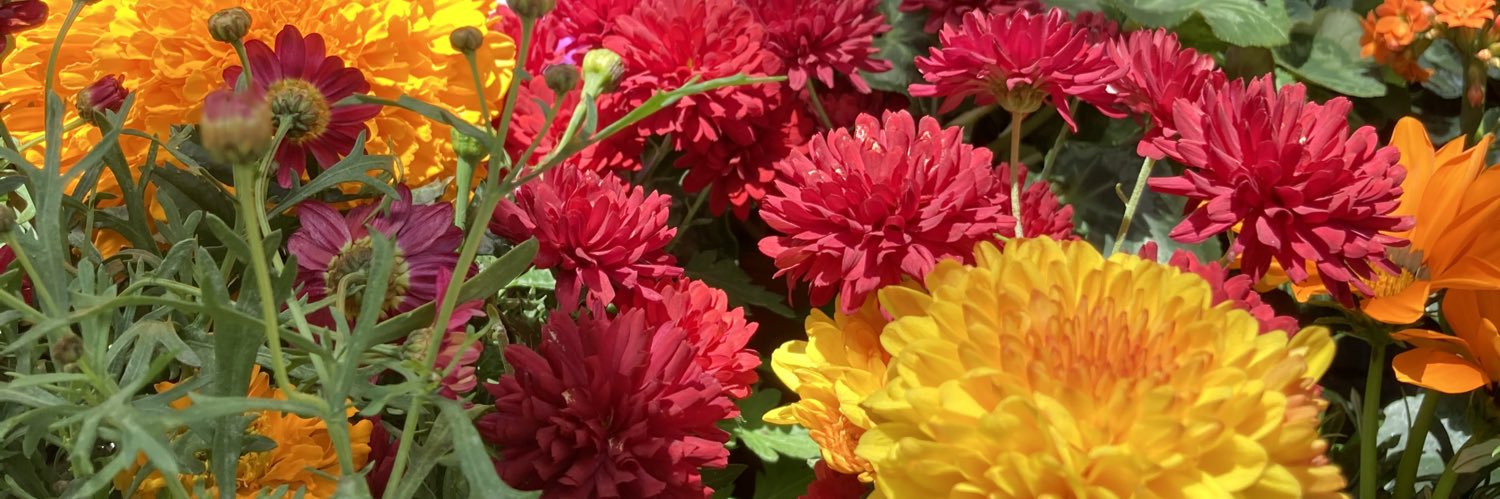 Andrés Gómez Feist 🏳️‍🌈 banner