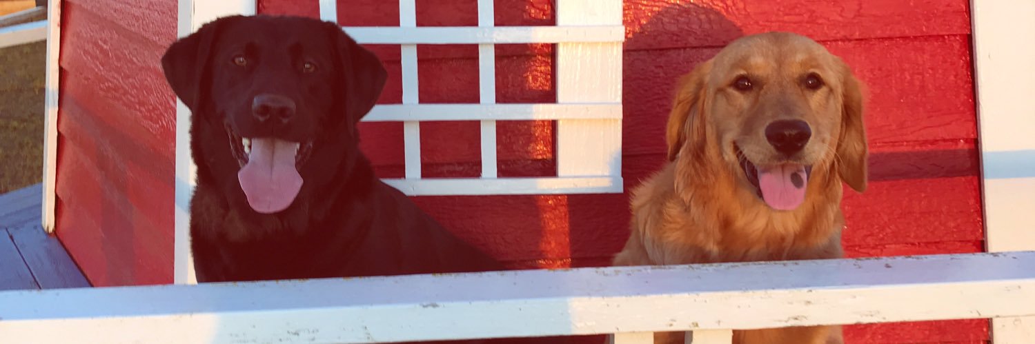 lexisbitch6's profile banner image