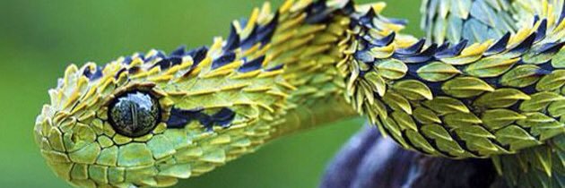 Willox147's profile banner image