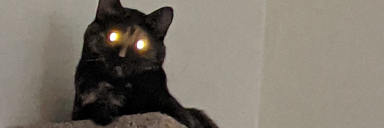 RealEnlaa's profile banner image