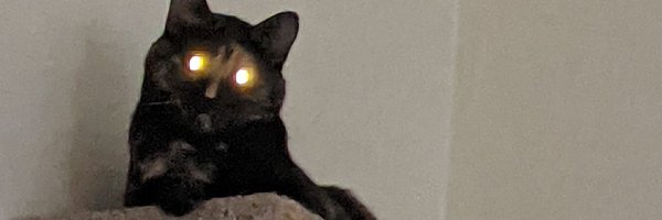 RealEnlaa Profile Banner