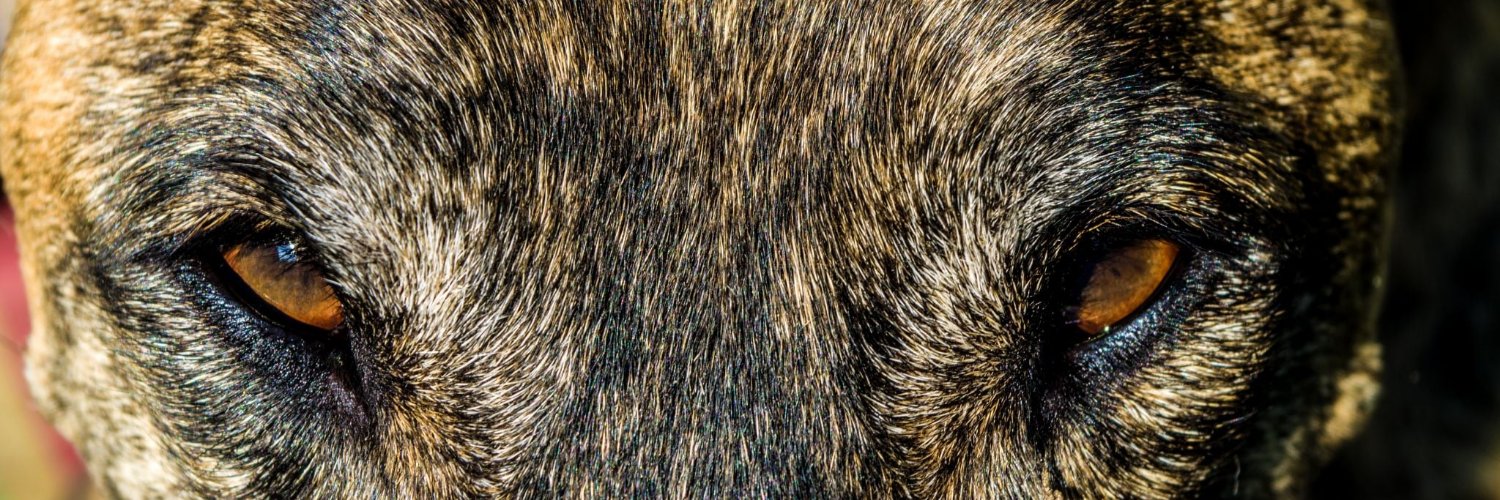 Werners_ART's profile banner image