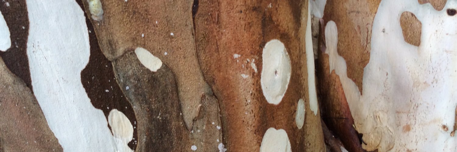 msastridau's profile banner image