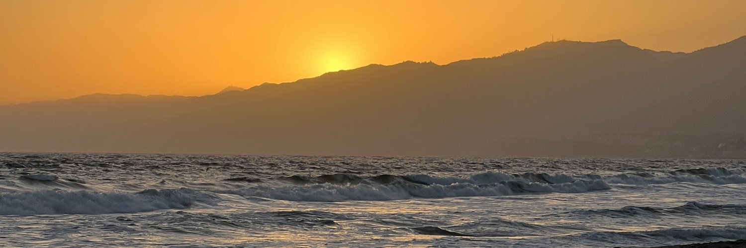 roseyypalm's profile banner image