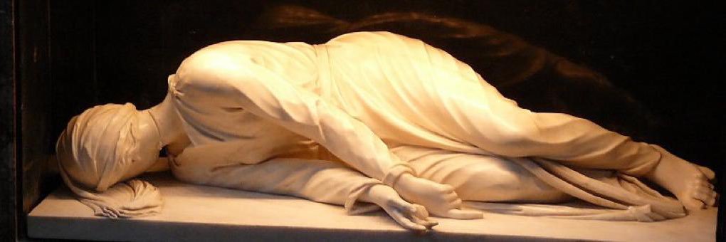 prins palestra banner