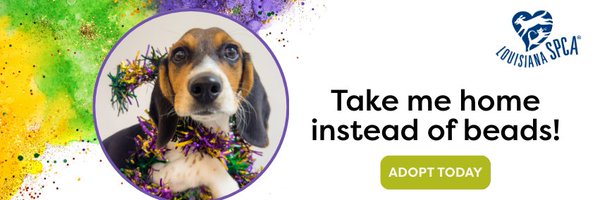 LASPCA Profile Banner