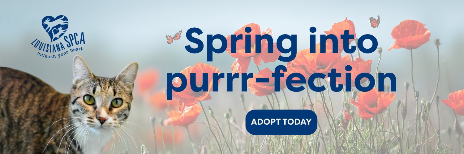 Louisiana SPCA banner