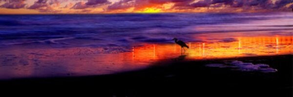 TheBarCzar Profile Banner