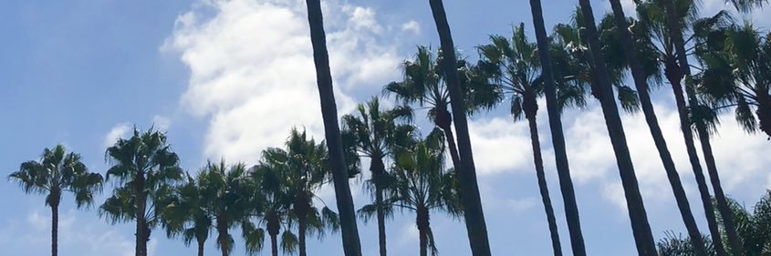 AdriiiFern's profile banner image