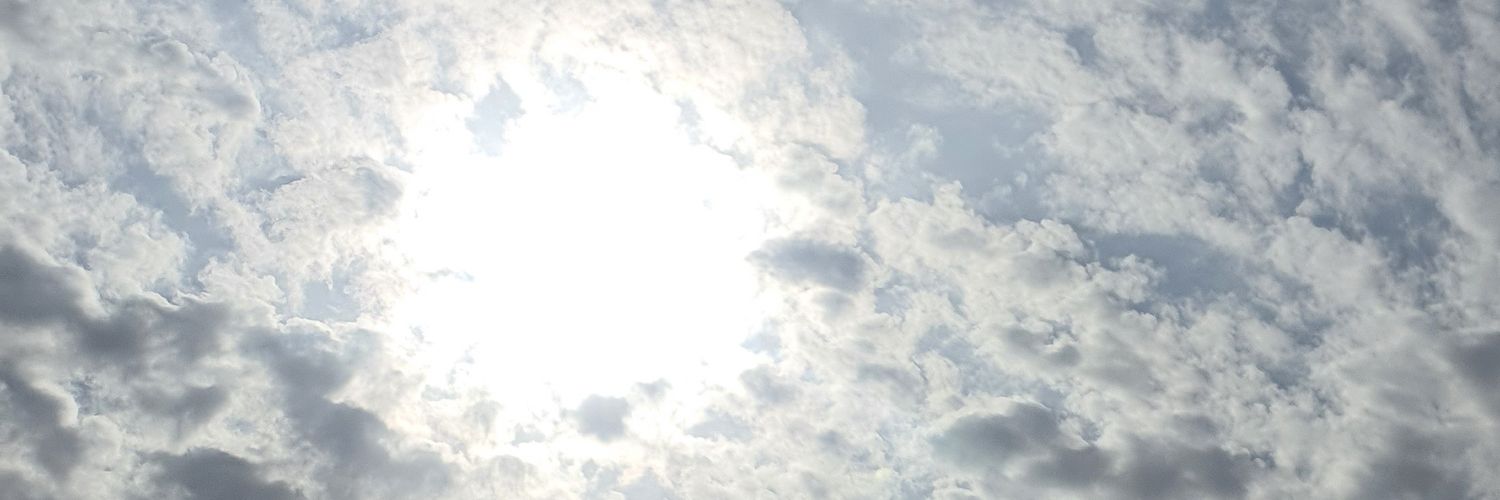 didiyushi's profile banner image