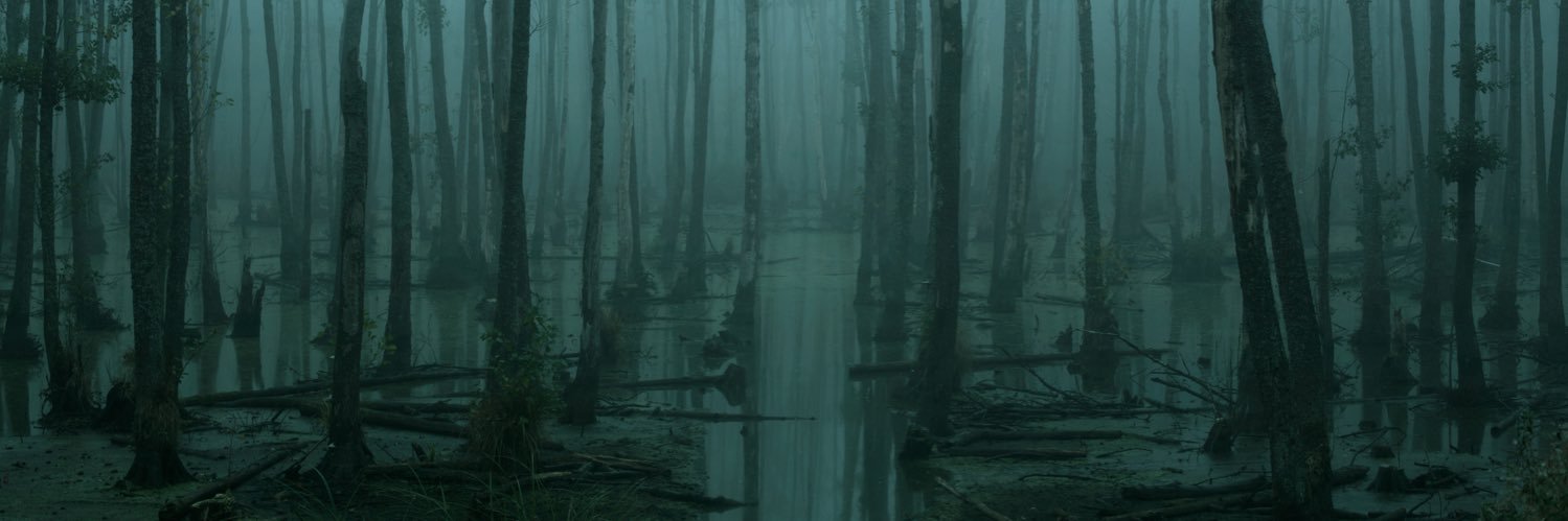 Maylene&thSonsofDstr banner