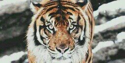 Joseph_Harris95's profile banner image