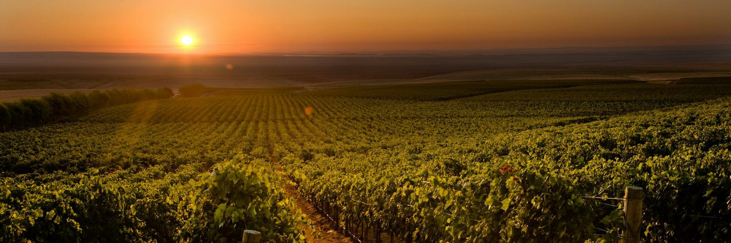 Columbia Crest Winery banner