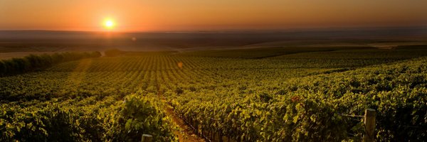 columbiacrest Profile Banner