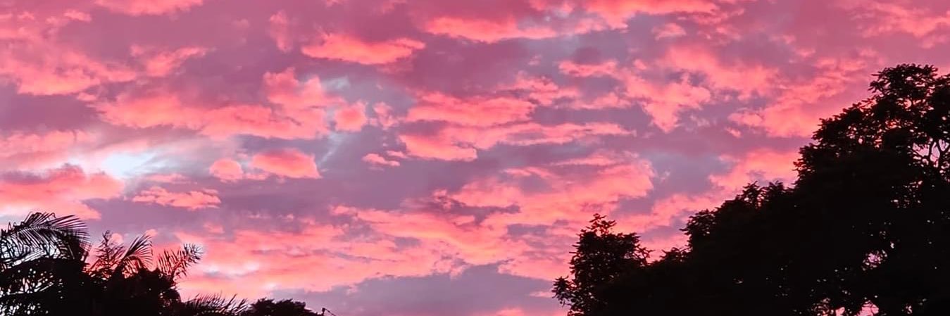 ickyvicky56's profile banner image