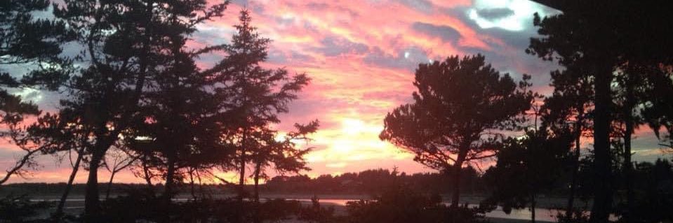 The Palangi Kalani🙏 banner