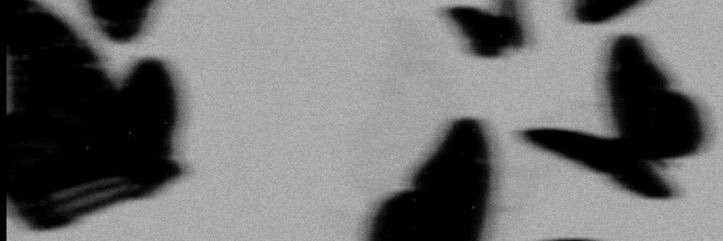 s_abaroa's profile banner image