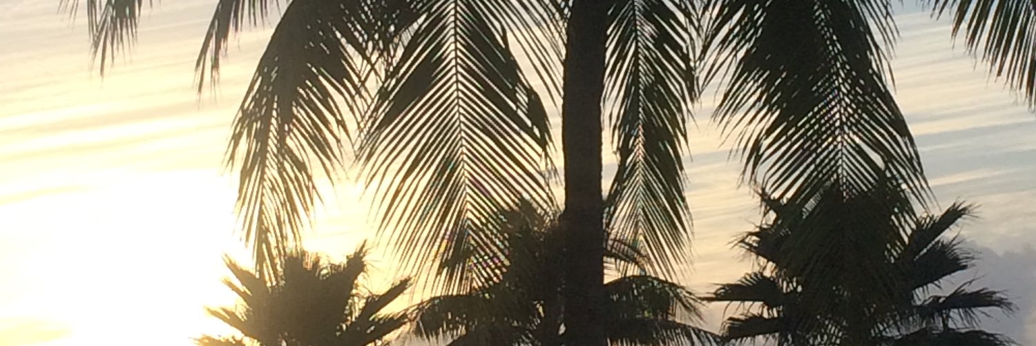 beckmane_'s profile banner image