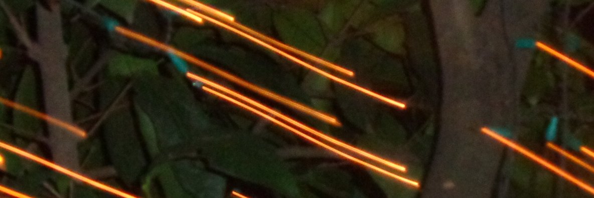 maria_elander's profile banner image