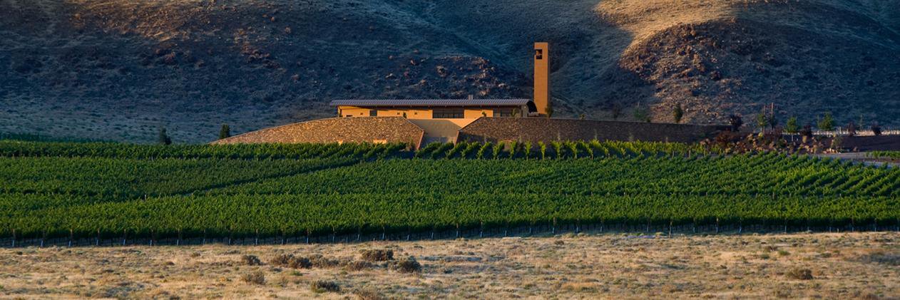 colsolare's profile banner image