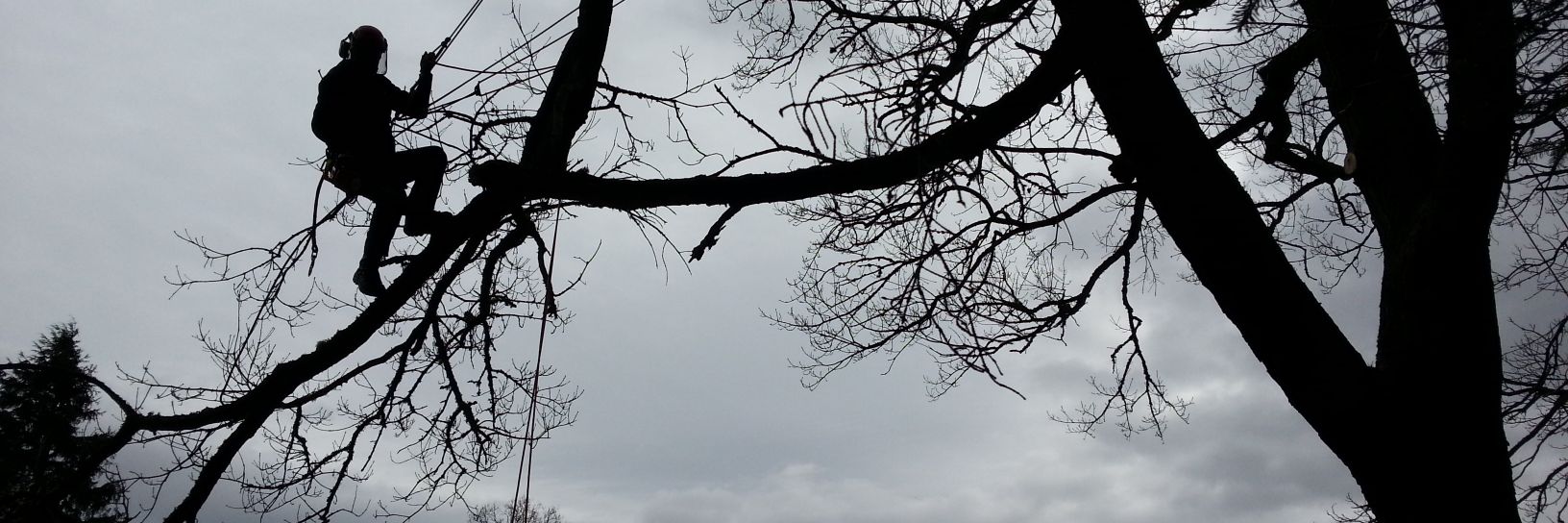 bj_arb's profile banner image