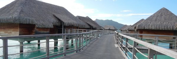 wildandcree Profile Banner