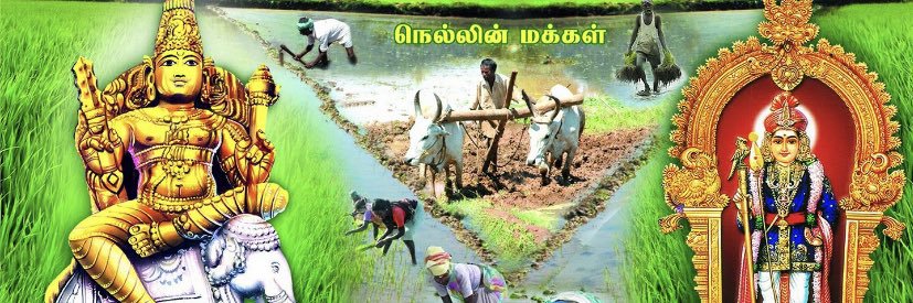 mramachandar's profile banner image