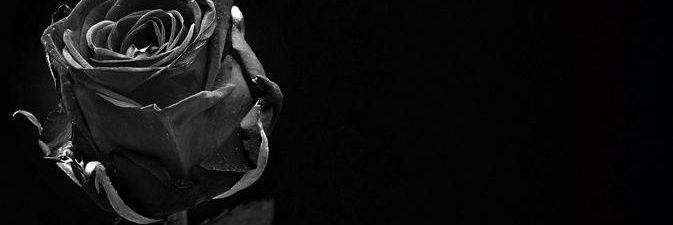Minc3_'s profile banner image