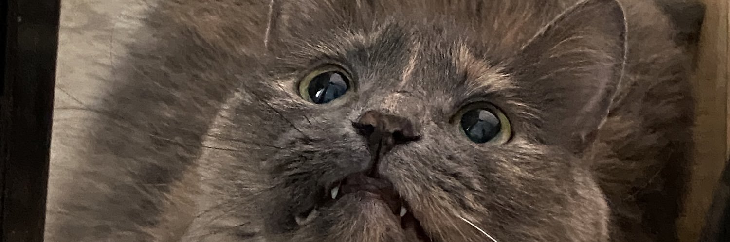 JeskaStarchaser's profile banner image