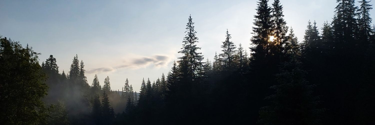 l_edoby's profile banner image