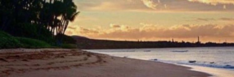 osrm123's profile banner image
