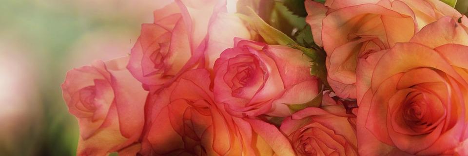 KaylaCropper's profile banner image