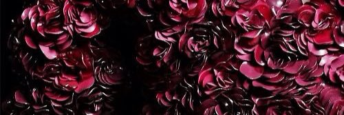 angelgaar's profile banner image