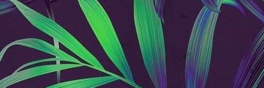 UnamContaduria's profile banner image