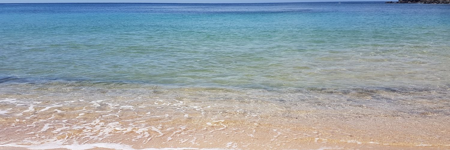 JorgeSeps's profile banner image